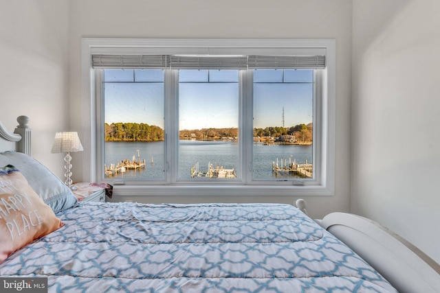 bedroom featuring a water view and multiple windows