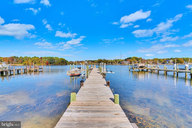 view of dock featuring a water view and boat lift