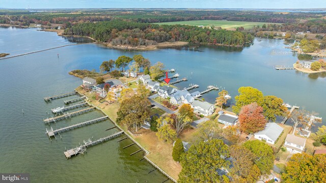 bird's eye view featuring a water view