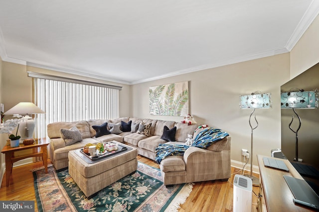 living area featuring ornamental molding, baseboards, and wood finished floors