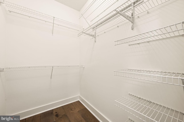 spacious closet featuring dark wood-type flooring