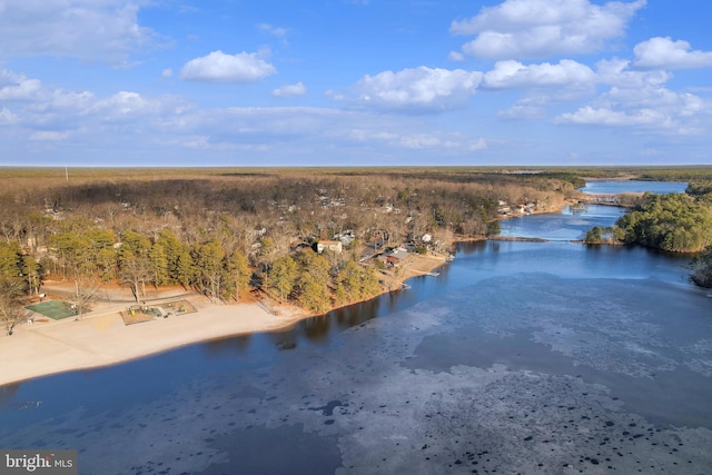 drone / aerial view featuring a wooded view and a water view