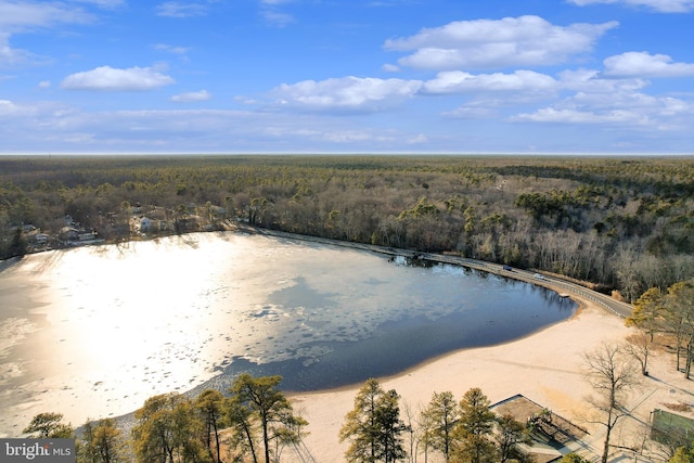 birds eye view of property featuring a forest view