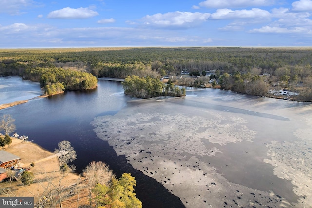 aerial view featuring a wooded view and a water view