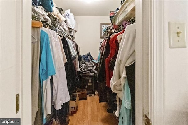 spacious closet featuring wood finished floors