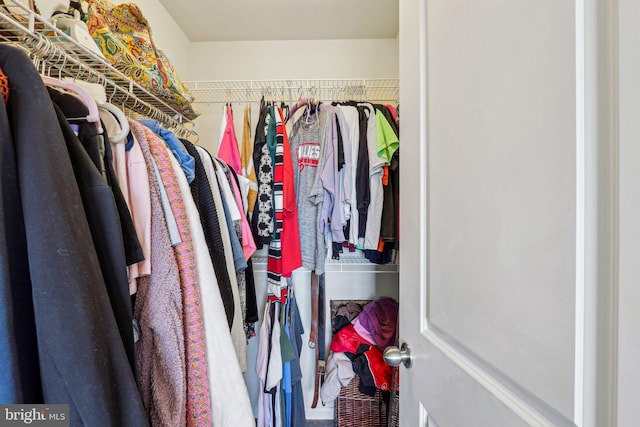 view of spacious closet