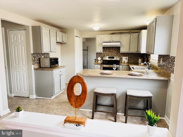 kitchen with decorative backsplash, a peninsula, stainless steel appliances, under cabinet range hood, and a sink