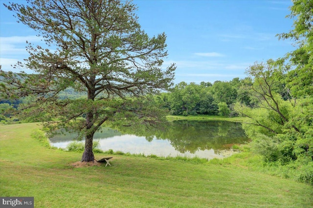 property view of water