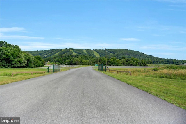 view of street featuring street lighting, a rural view, and a mountain view