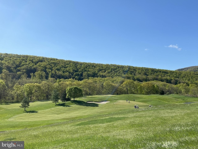 surrounding community featuring a wooded view and a yard