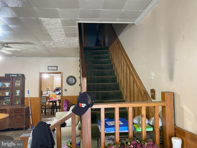 staircase featuring wood walls, ceiling fan, ornamental molding, and wainscoting