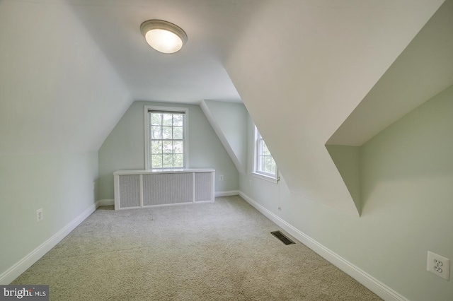 additional living space featuring carpet floors, baseboards, visible vents, and vaulted ceiling