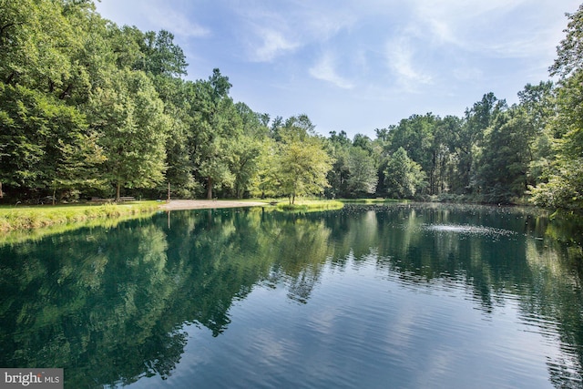 water view with a forest view