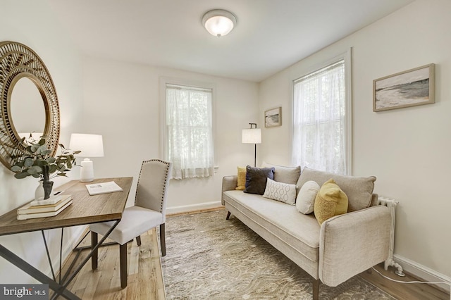 office with baseboards and wood finished floors