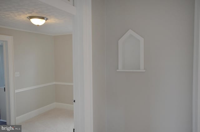 interior space featuring a textured ceiling, carpet flooring, and baseboards