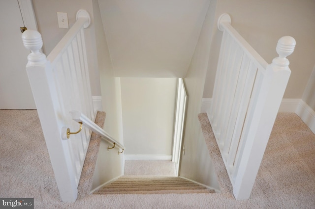 staircase featuring carpet