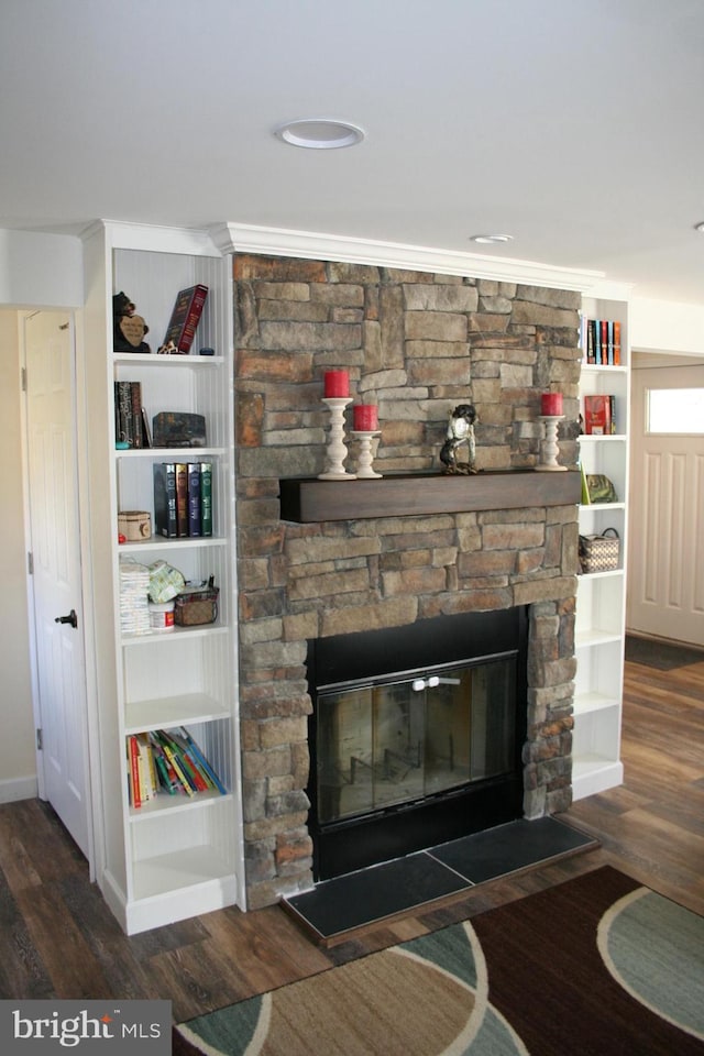 details featuring a stone fireplace, wood finished floors, and built in shelves