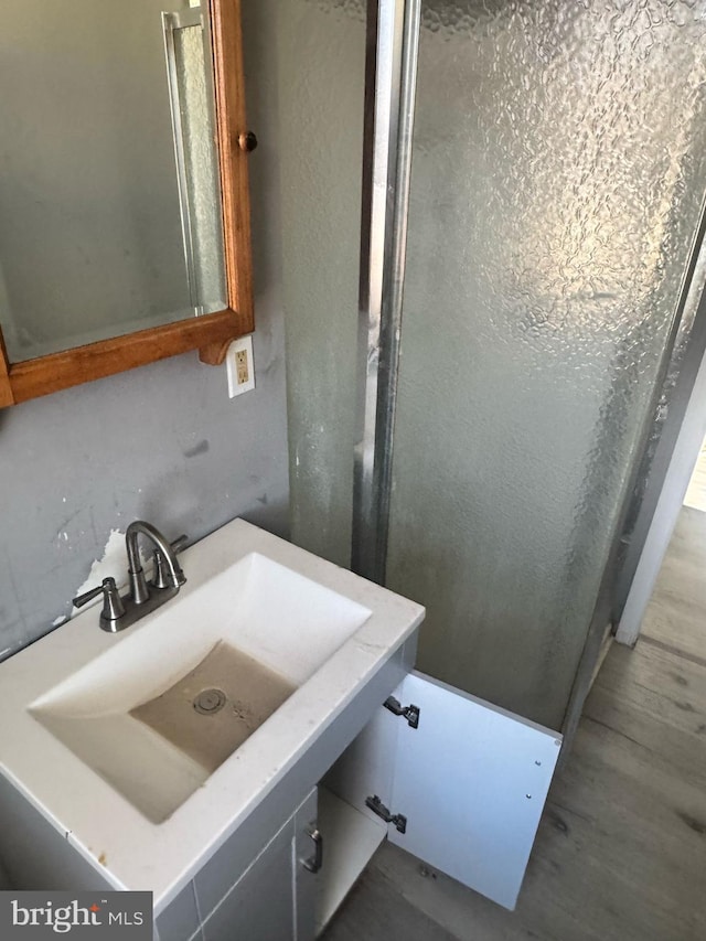 bathroom with wood finished floors and a sink