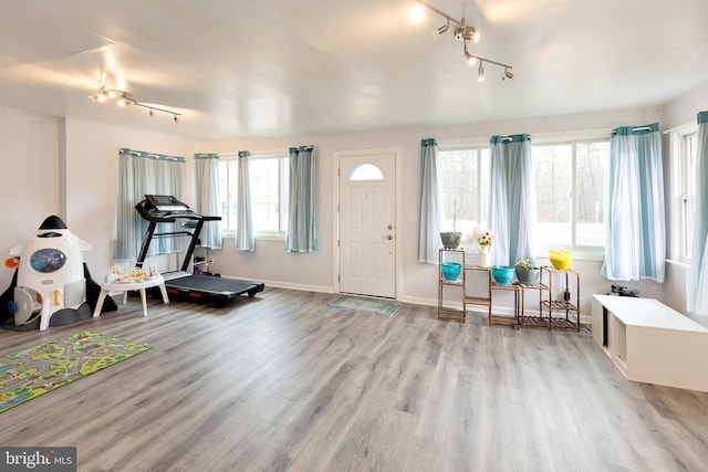 entrance foyer with baseboards and wood finished floors