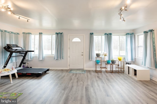 foyer with a healthy amount of sunlight, baseboards, and wood finished floors