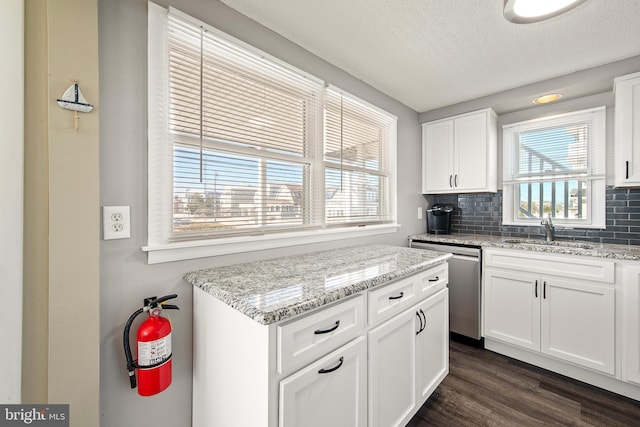 5909 Ocean Blvd, Long Beach Township, NJ 08008 - kitchen featuring tasteful backsplash, a sink, dark wood-style floors, and stainless steel dishwasher