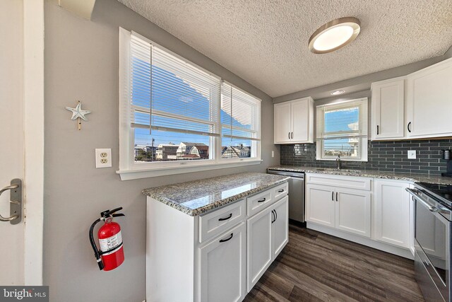 5909 Ocean Blvd, Long Beach Township, NJ 08008 - kitchen featuring dark wood-style flooring, a sink, stainless steel appliances, white cabinetry, and tasteful backsplash