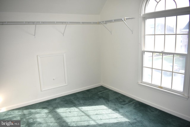 spacious closet featuring dark carpet and lofted ceiling
