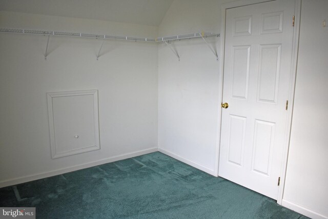 spacious closet featuring vaulted ceiling and carpet floors