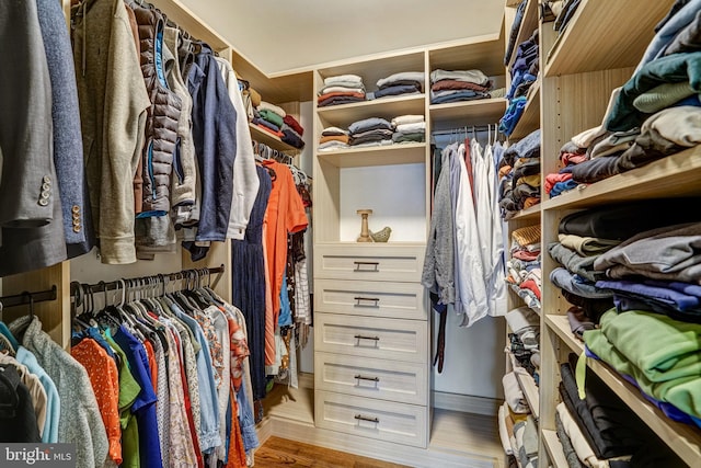 walk in closet featuring wood finished floors