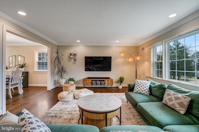 living room with baseboards, ornamental molding, wood finished floors, and a healthy amount of sunlight