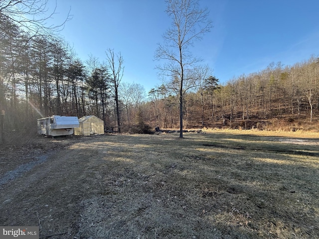 view of yard featuring an outdoor structure