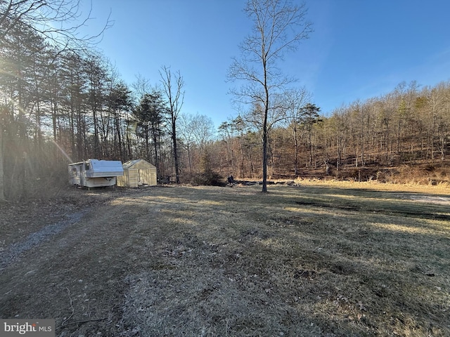 view of yard featuring an outbuilding and dirt driveway