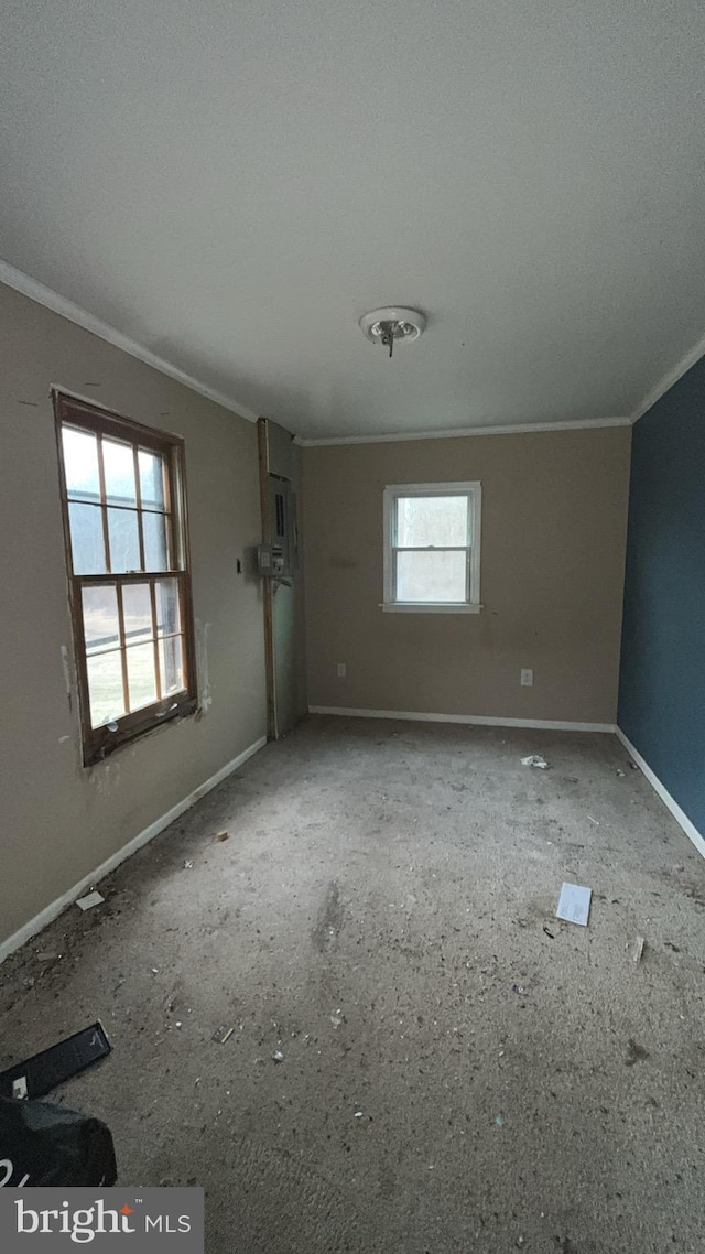 spare room with ornamental molding and baseboards