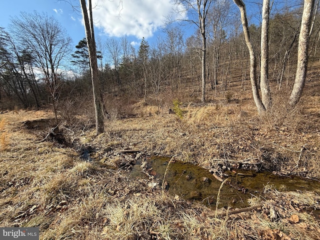 view of landscape with a forest view