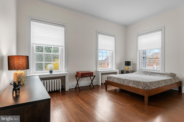 bedroom with dark wood-style floors, radiator, and multiple windows