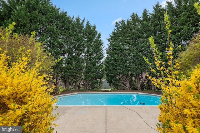 view of outdoor pool