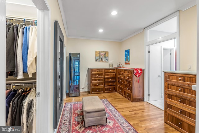 spacious closet with light wood finished floors