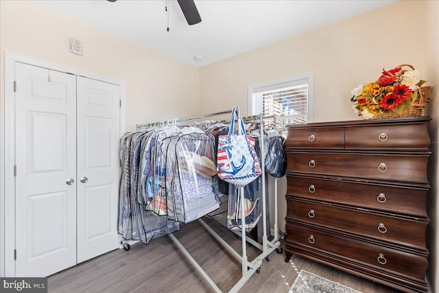 bedroom with a closet, wood finished floors, and a ceiling fan