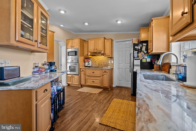 kitchen featuring dark wood-style flooring, crown molding, appliances with stainless steel finishes, a sink, and under cabinet range hood