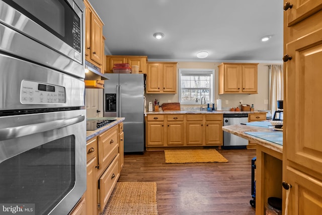 kitchen featuring dark wood-style floors, stainless steel appliances, light countertops, a sink, and under cabinet range hood