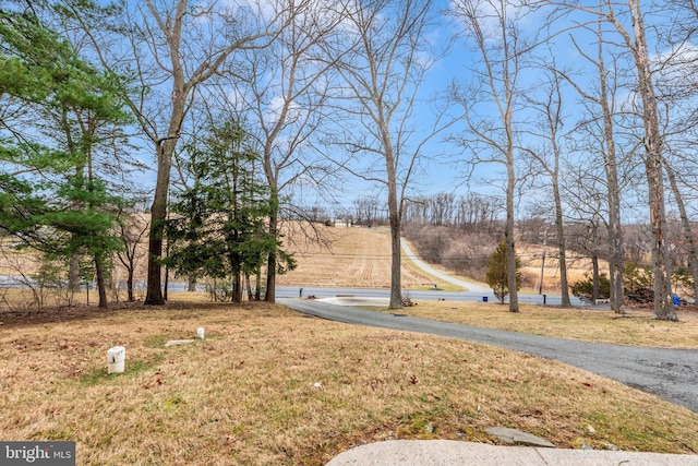 view of yard featuring aphalt driveway