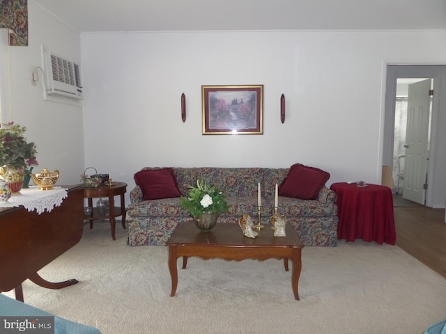 living area featuring a wall unit AC