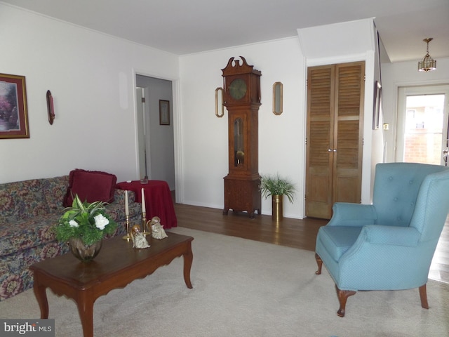 living area with carpet flooring