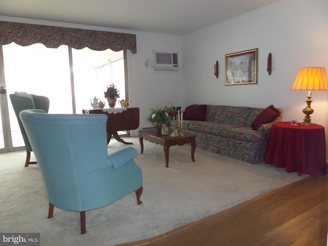 living area with wood finished floors and a wall mounted air conditioner