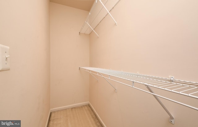 walk in closet featuring light colored carpet