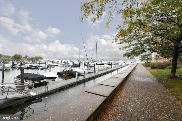 dock area featuring a water view