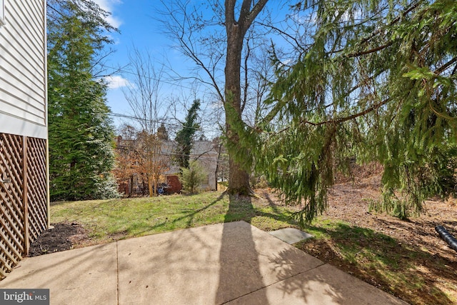 view of yard featuring a patio