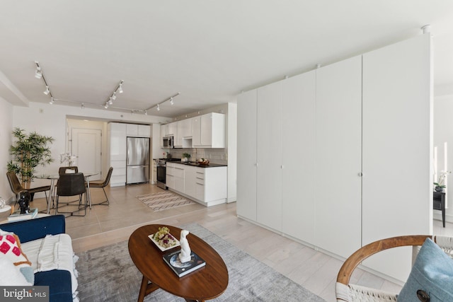 living area featuring light wood finished floors