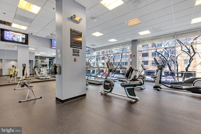 workout area with a paneled ceiling and floor to ceiling windows