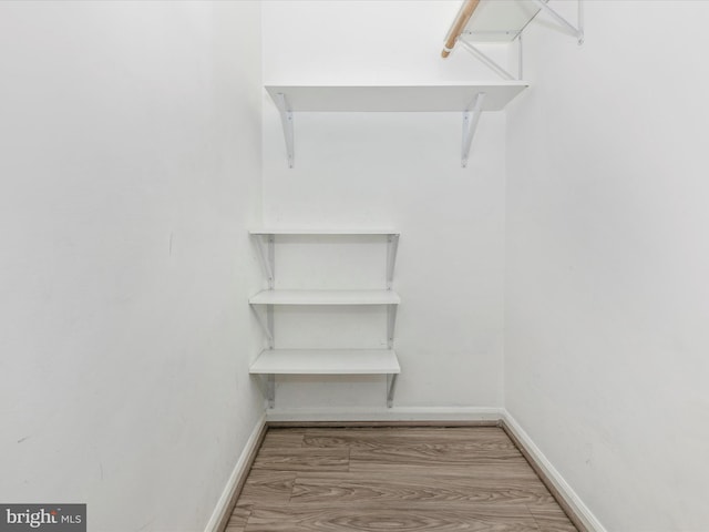 spacious closet featuring wood finished floors